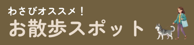 お散歩スポット