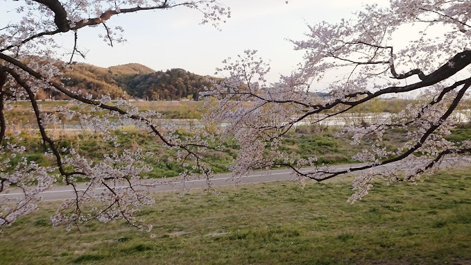 桂川河川敷公園