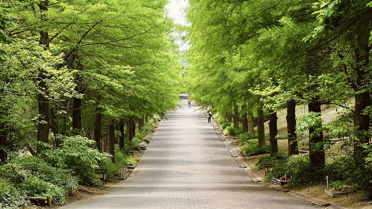 播磨中央公園