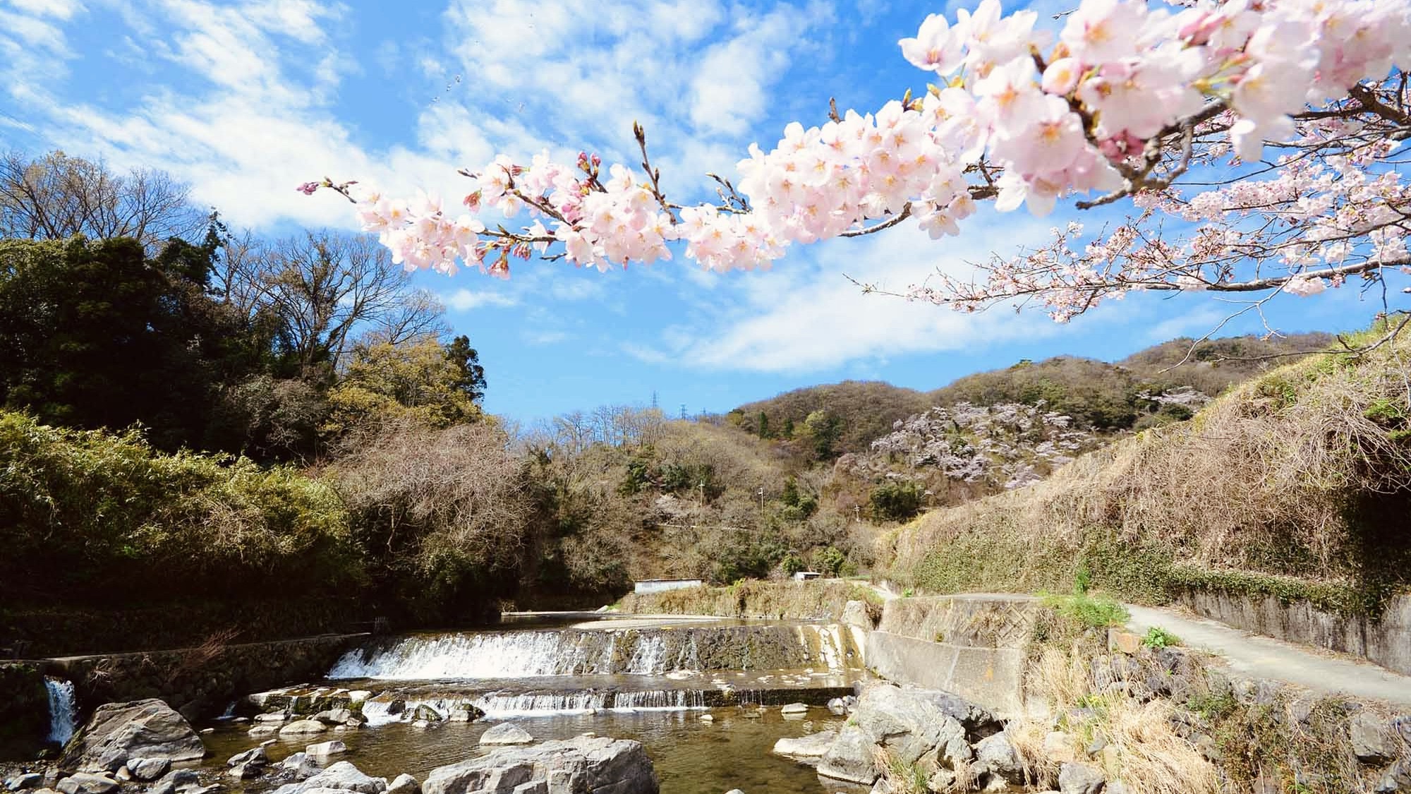 摂津峡公園