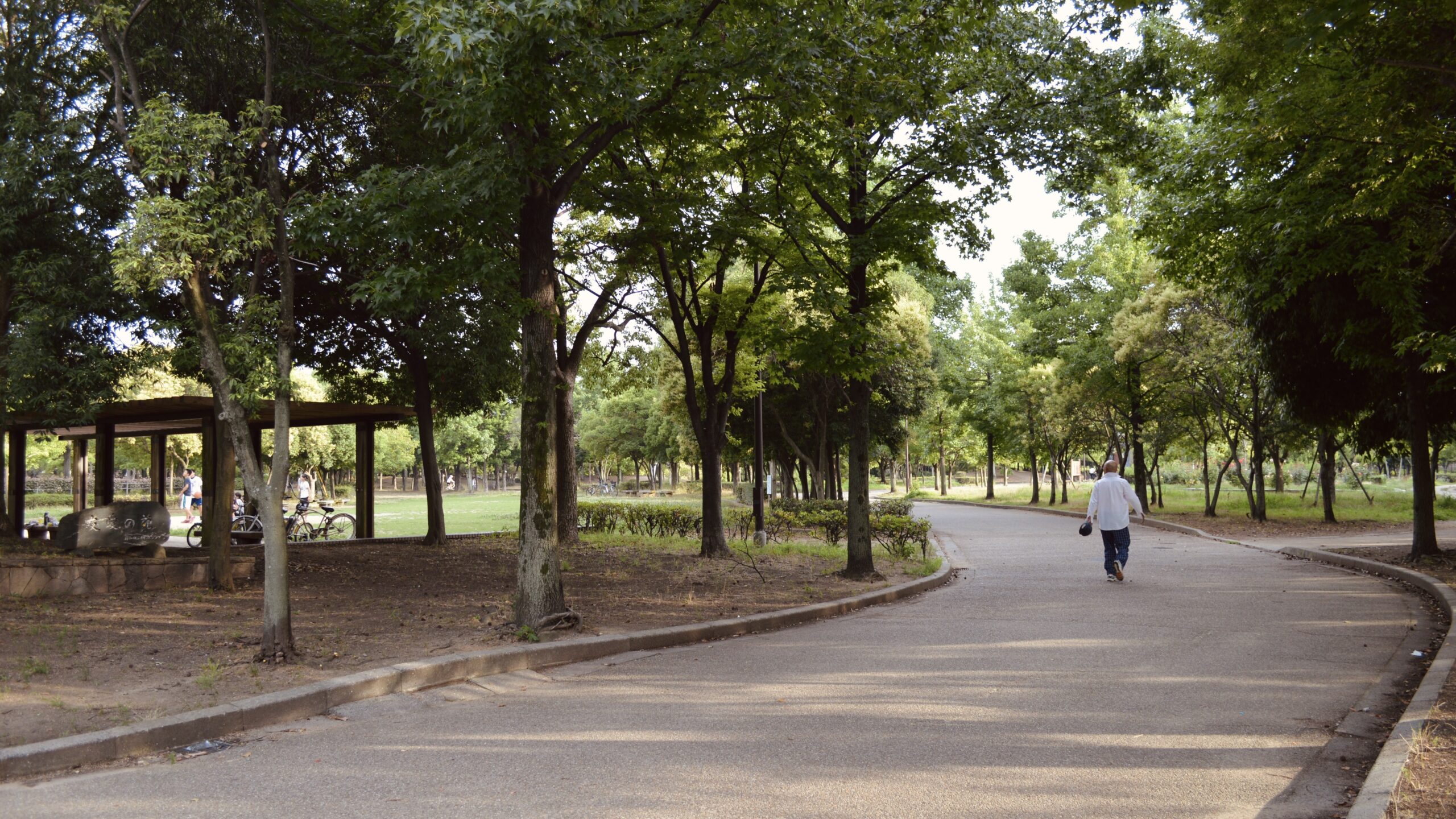 岸和田中央公園