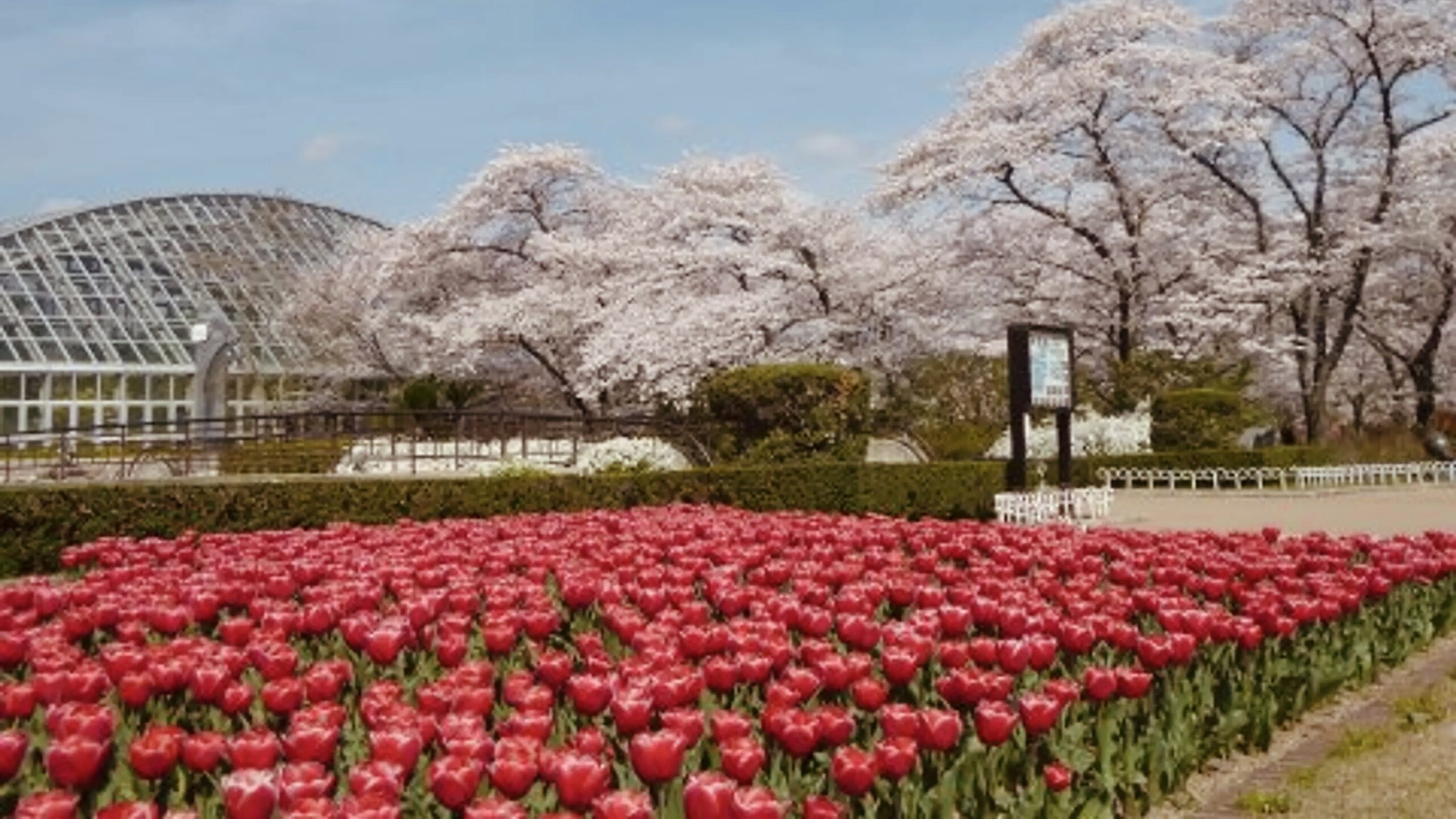 京都府立植物園