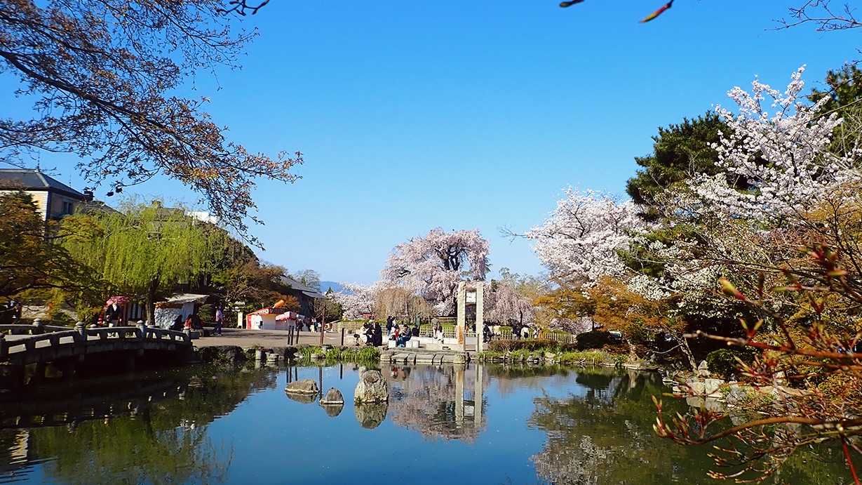 円山公園