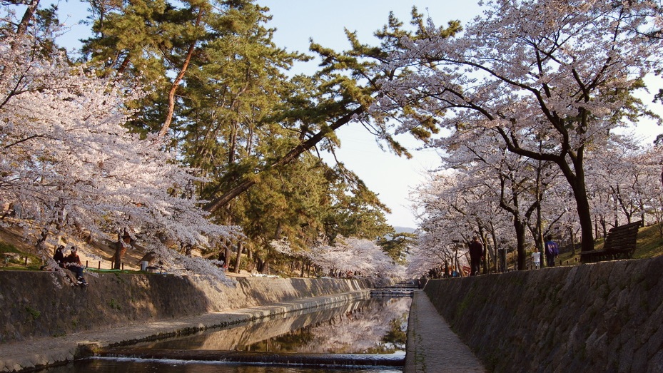 夙川公園