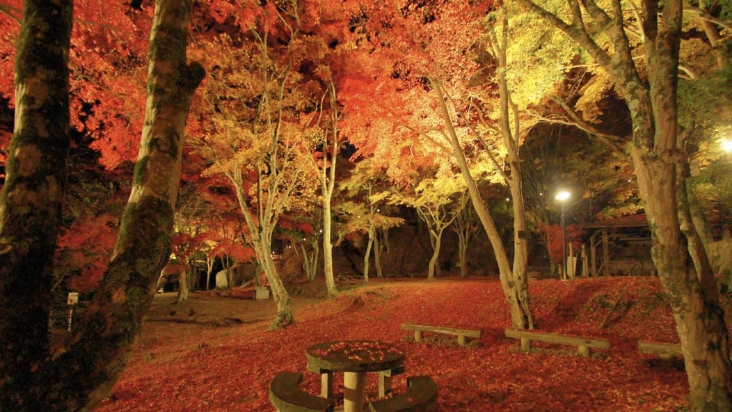 笠置山自然公園