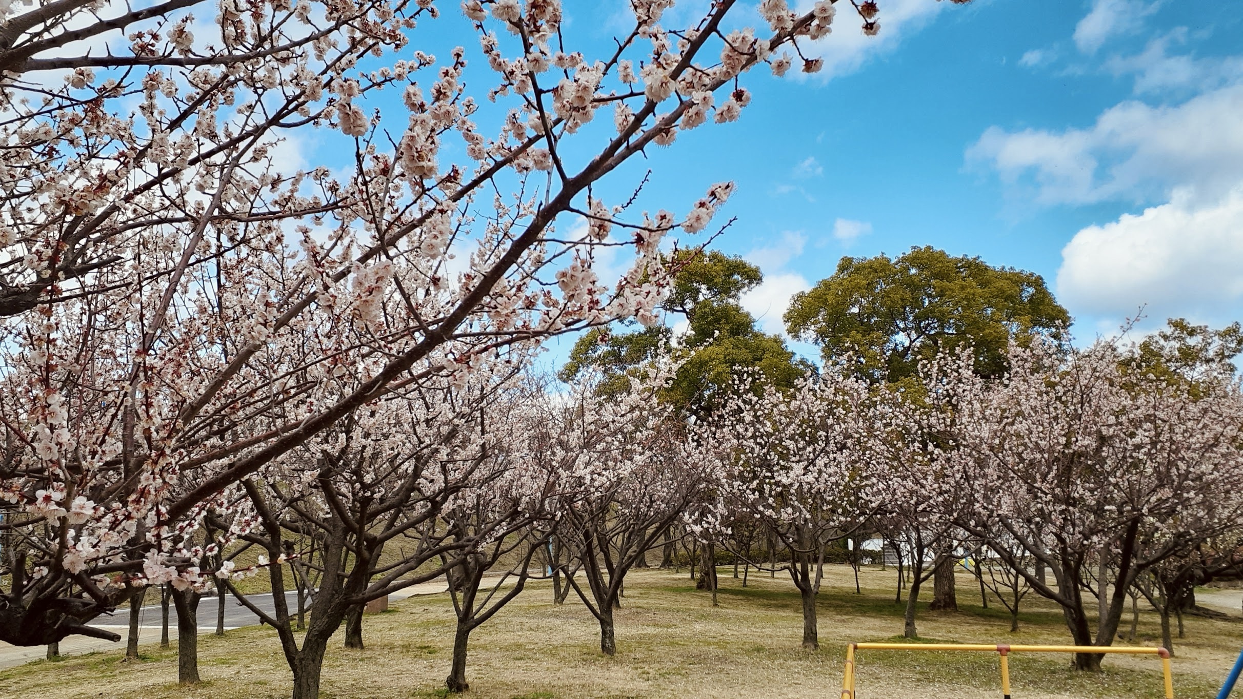 城北公園